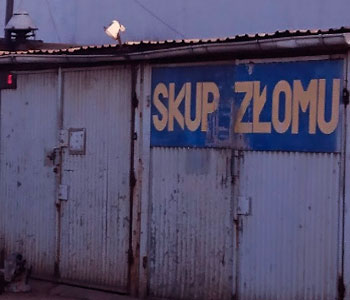 Jacek Knopik | skupzlomu.top